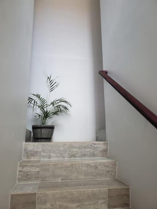 פורטמור 'The Solace' New Luxury Modern 1Bed 1Bath Apt. מראה חיצוני תמונה